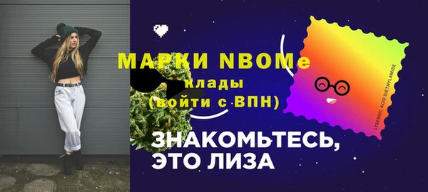 прущие грибы Инта
