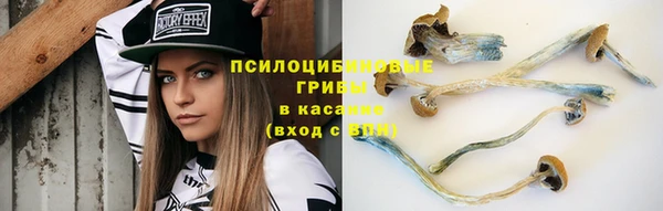 2c-b Зерноград