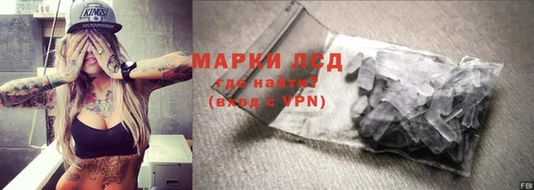прущие грибы Инта